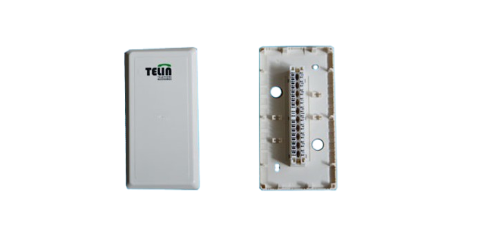 DISTRIBUTION BOX WITH 10 PAIRS MODULE - Size 165x85x38mm
